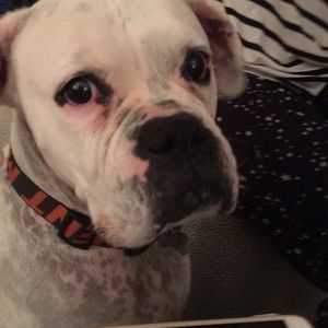 Meet your Posher, Mack